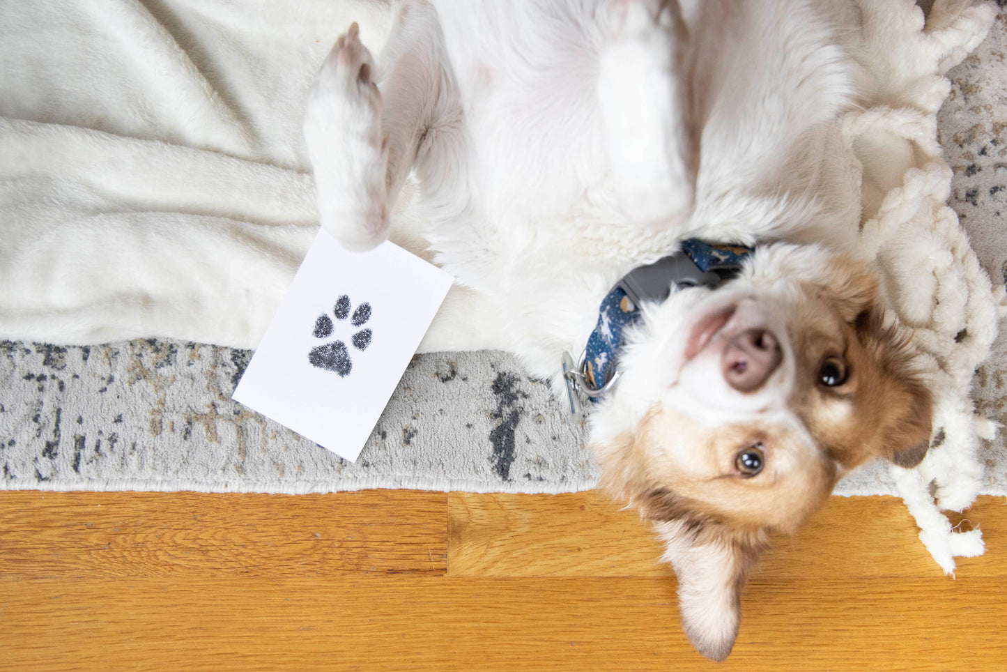 Pawprint Clean-Touch Ink Pad